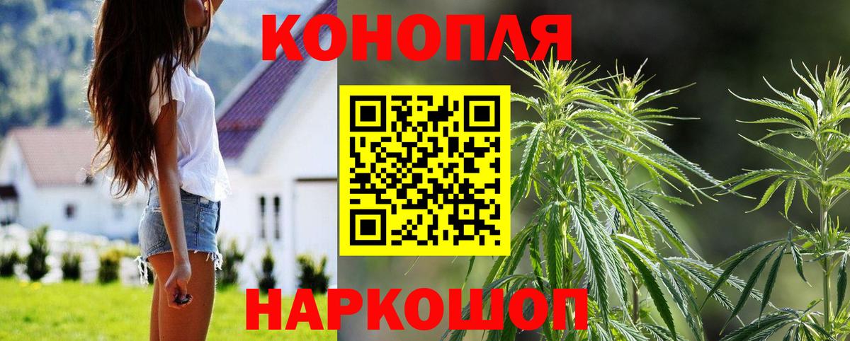 Марихуана ГИДРОПОН  Вход с VPN  Ноябрьск  Канабис марихуана  МАРИХУАНА ГИДРОПОН 